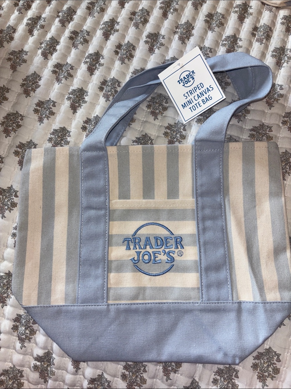 Trader Joe's Striped Mini Canvas Tote Bag - Blue & Cream